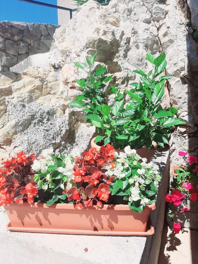 Apartments Tonkita With Jacuzzi Makarska Kültér fotó